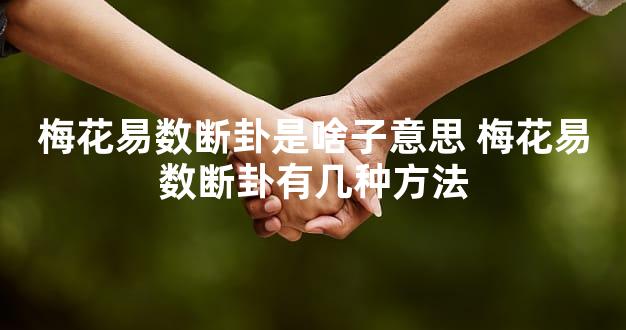 梅花易数断卦是啥子意思 梅花易数断卦有几种方法